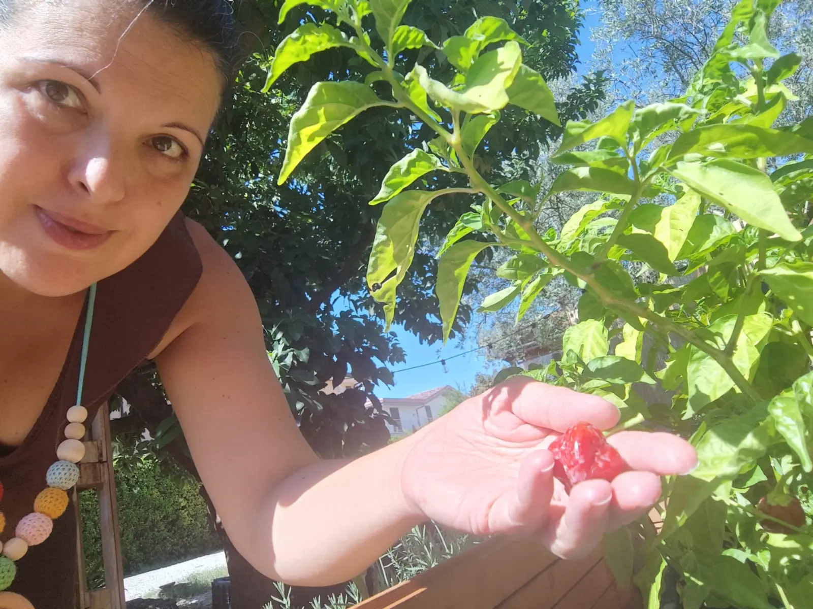 Anna raccoglie un peperoncino nel giardino della Cioccolateria Agricola