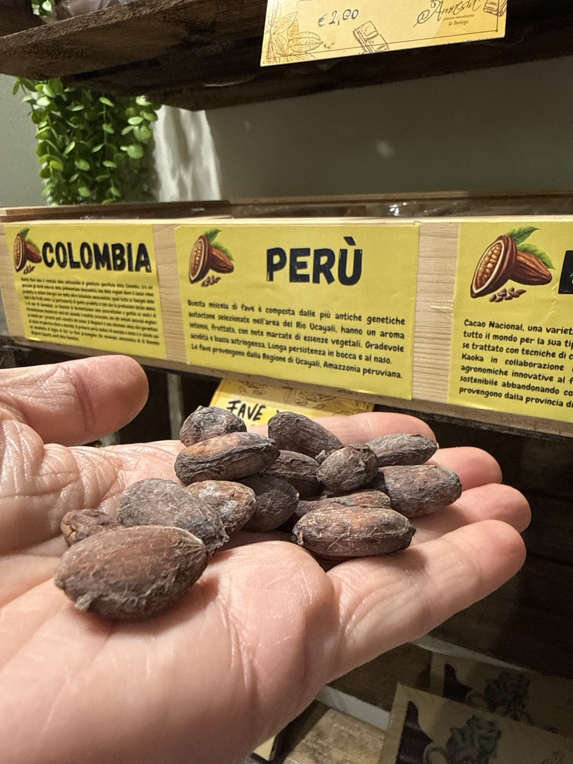 Fave di cacao in una mano davanti ai cartelli delle diverse origini