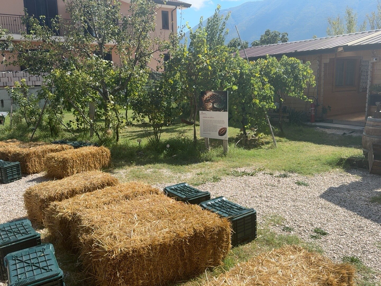 Allestimento con balle di fieno tra gli alberi del giardino Amnesia a Telese Terme